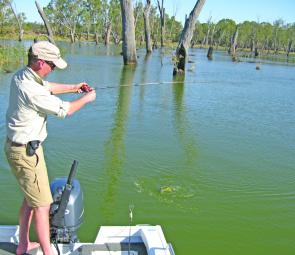 Marc hooked up to a typical Murray River golden perch from the back deck. With two on board there is enough room for up front fishing, but the back deck provides enough foot room if you want to change the angle of your cast or fish further apart.